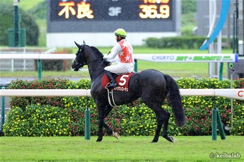 【菊花賞】ステラヴェローチェはソダシの二の舞も＜pr＞ 競馬ニュース 競馬ラボ