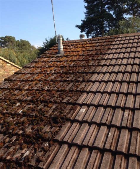 Roof Moss Removal Paddock Wood Roof Cleaning