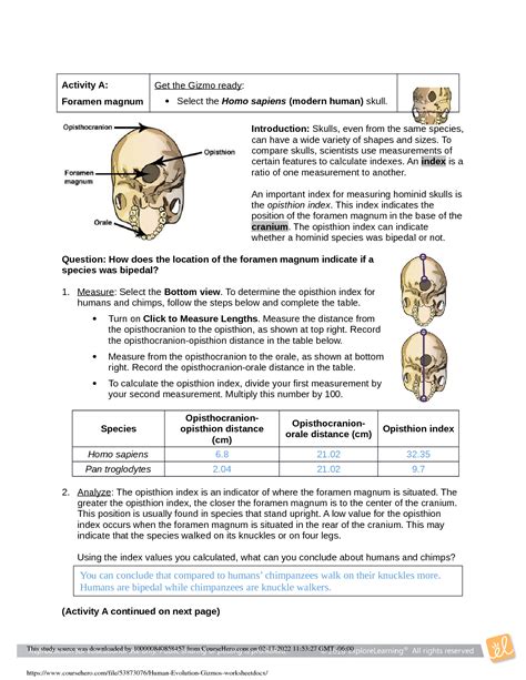 SOLUTION Student Exploration Human Evolution Skull Analysis Gizmo