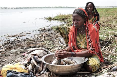 Se Acaba El Agua Del Lago Chad La Alianza