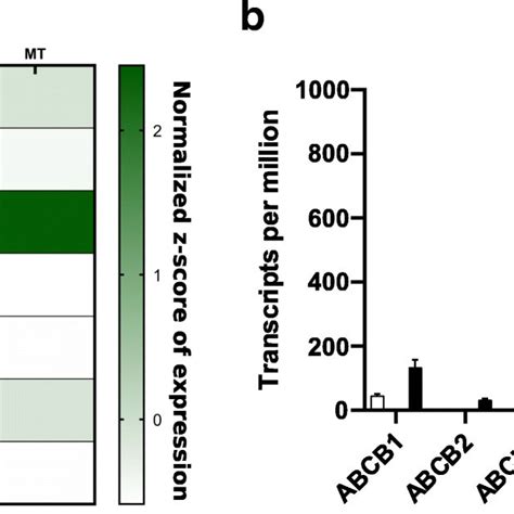 Expression Of The ABC B Full Transporters In H Armigera A Heatmap