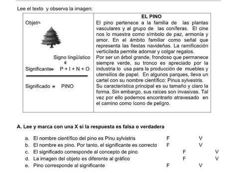 Me Ayudan Por Favor Es Para Hoy La Tarea Es De La Materia De Lenguaje