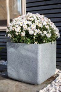 Granito Cube Pots Planters Apta