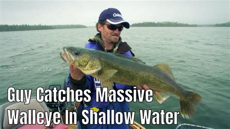 Guy Catches Massive Walleye In Ultra Shallow Water The Fishing Canada