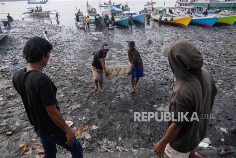 Harga Ikan Turun Di Kendari Akibat Hasil Tangkapan Nelayan Melimpah