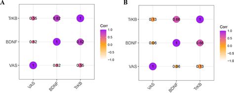 Correlation Between Mrna Expression Of Bdnf Trkb In Endometriosis