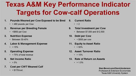 Beef Cattle Budget Spreadsheet In Improving Ranch Efficiency Through