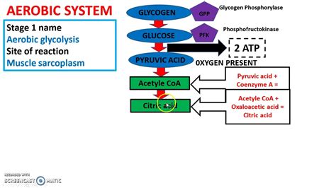 Aerobic System Wiring Diagram