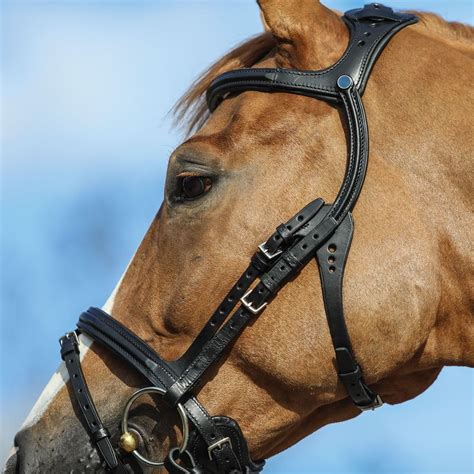 Stubben Freedom English Bridle Schneiders Saddlery