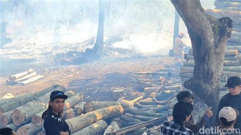 Gudang Pengolahan Kayu Di Leces Probolinggo Terbakar