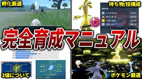 【ポケモンsv】初心者必見！今作の育成のすべてを教えます Youtube