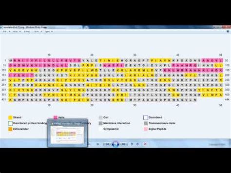 How To Predict Secondary Structure Of A Protein Using PSIPRED Tutorial