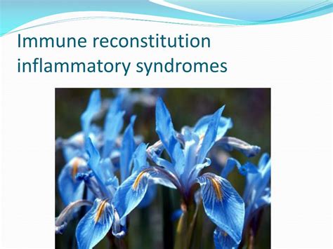 Ppt Antiretroviral Therapy And Immune Reconstitution Inflammatory