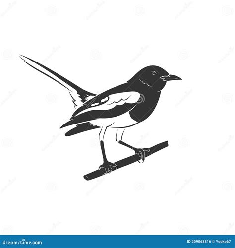 Magpie Design Isolated Elements National Bird Of Bangladesh Royalty