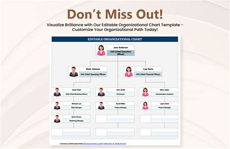 Editable Organizational Chart Template | Template.net