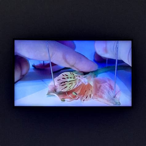 From Self to Others: What do young Hong Kong artists have in mind