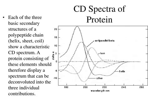 PPT Structural Analysis Of Protein Structure PowerPoint Presentation