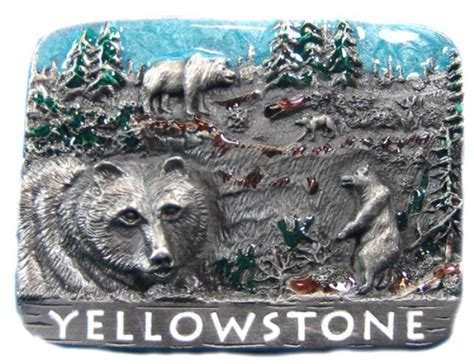 Yellowstone Bear Scene | Colorado Silverstar