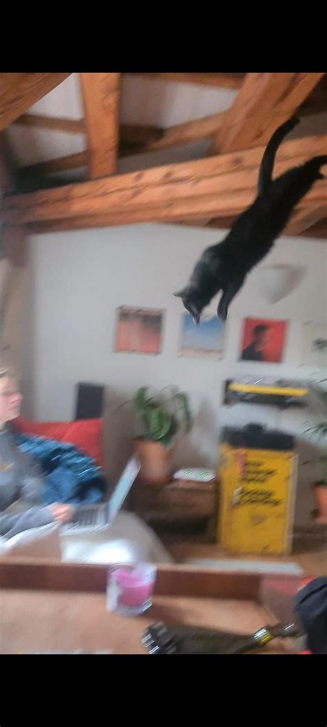 (Not so stealthy) attack bomber : r/Stealthbombers