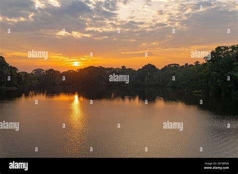 Amazon rainforest sunrise by Garzacocha Lagoon, Yasuni national park ...