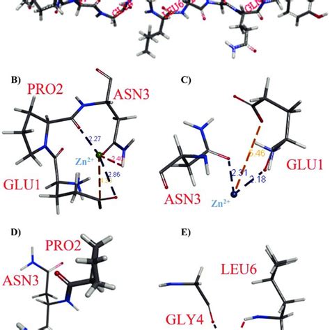 Effects Of Zinc Ion Concentration On Zinc Chelating Capacity The