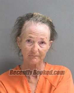 Recent Booking Mugshot For Dawn R Gamberg In Volusia County Florida