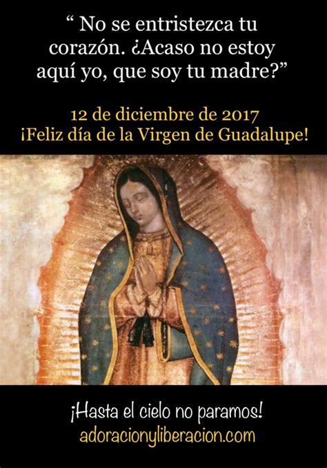 ¡feliz Día De La Virgen De Guadalupe Adoración Y Liberación