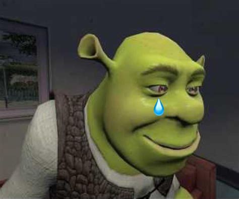 M Xico M Gico On Twitter Shrek Triste Porque Fiona Prefiere Un