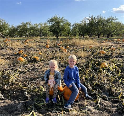 Best Pumpkin Patches In Minnesota To Explore This Fall Minnesota Parent