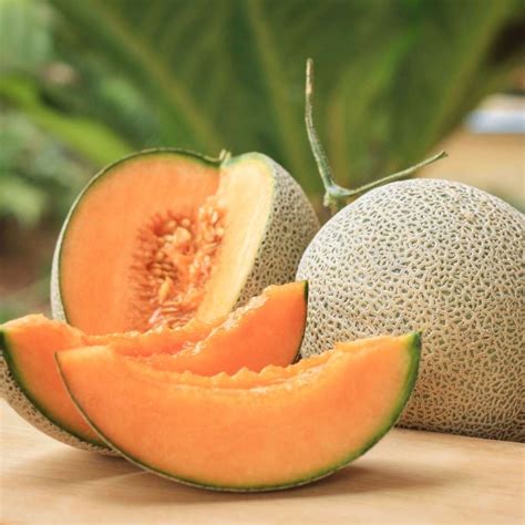 Buy Best Quality Musk Melon Hybrid Seeds Online