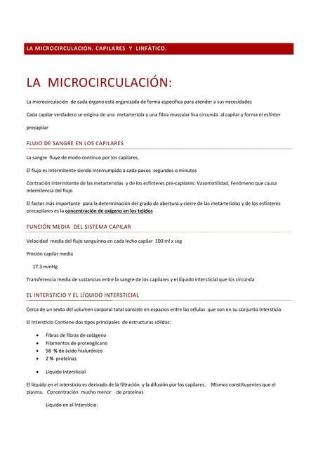 La Microcirculaci N Capilares Y Linf Tico Lisbety Reyes Hurtado Udocz