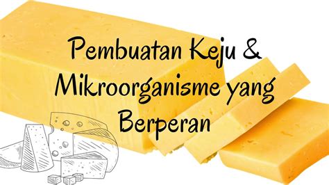 PEMBUATAN KEJU DAN MIKROORGANISME YANG BERPERAN YouTube