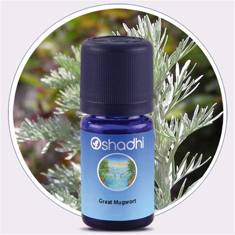 Great Mugwort Essential Oil Oshadhi Essential Oils