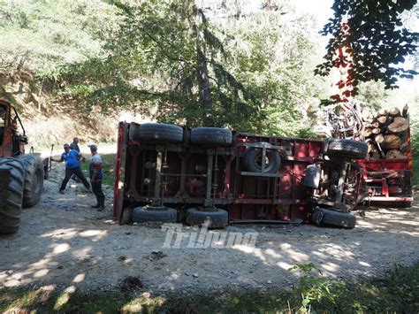 Remorca Unui Camion Plin Cu Bu Teni R Sturnat Pe Un Drum Forestier