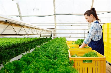 Técnicas De Fertilizantes Organominerales Y Manejo De Residuos