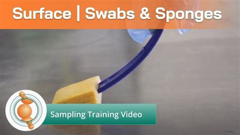 Sampling Environmental Sponge Swab Sampling Training Youtube