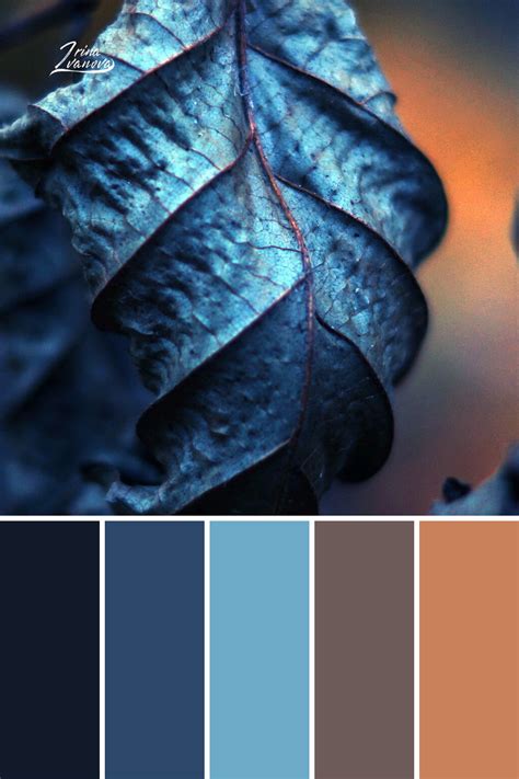 Blue Aesthetic Color Palette Codes It Is Worth