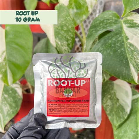 Jual Hormon Root Up Gram Stek Cangkok Tanaman Penumbuh Akar Shopee