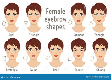 Eyebrow Shapes Suitable To Different Woman Type Face Vector Ill Stock