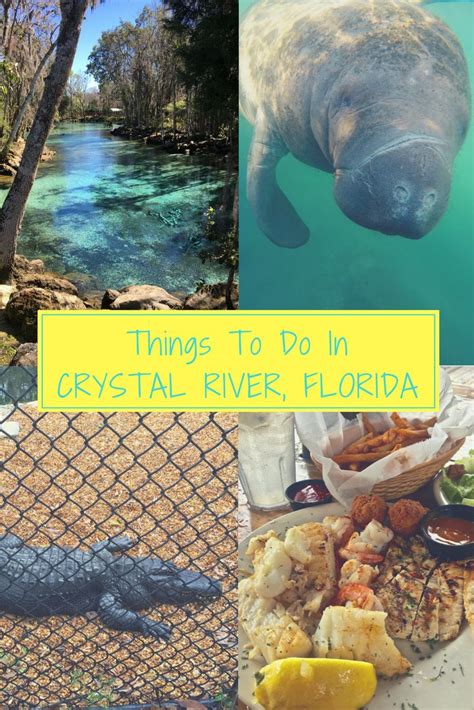 8 Things To Do In Crystal River Florida Tattling Tourist Crystal River Florida Florida