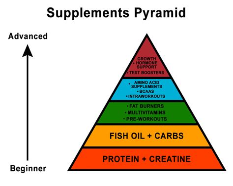 Ultimate Guide To Bodybuilding Supplements Mr Supplement Austral