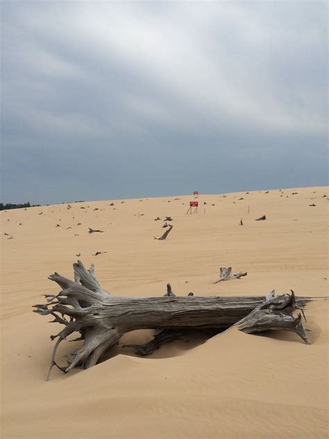 Silver Lake Sand Dunes Mears, MI | Silver lake michigan, Michigan ...