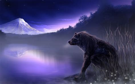 Werewolf Wallpaper HD 75 Images