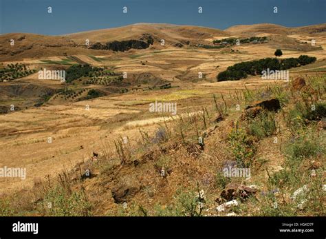 Beja Governorate Hi Res Stock Photography And Images Alamy