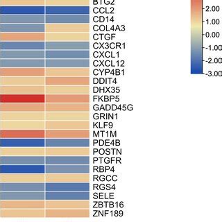 Heatmap of the differentially expressed genes in the datasets ...