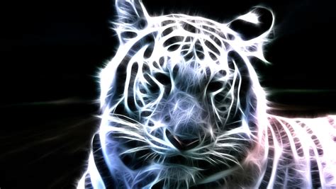 🔥 [71+] White Tiger Wallpapers Hd | WallpaperSafari