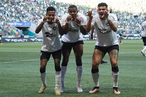 Impec Vel Na Defesa Botafogo Vence Palmeiras Mais Um Gol De