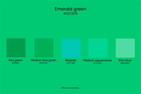 Emerald Green: Its Codes and Best Color Combinations - Picsart Blog