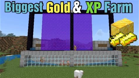 Biggest Gold And Xp Farm Tutorial In Minecraft Bedrock 121 Youtube