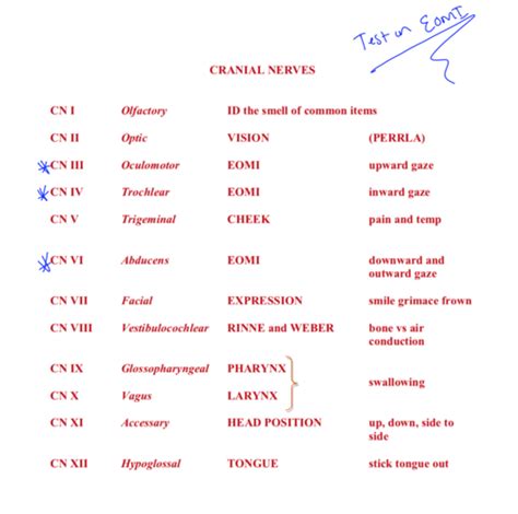 Heent Flashcards Quizlet